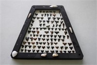 Sharks Tooth Collection