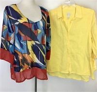 Designer Chico's Shirt and Blouse (2)