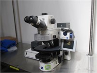 Upright Fluorescence Research Microscope