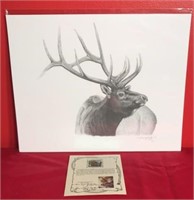 Terri Tucker Graphite Elk Drawing