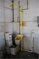 Industrial Eye Wash/Shower Station