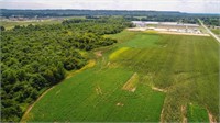 Trinity AL - Land Auction 141+/- Ac (3 Tax Parcels) Offered