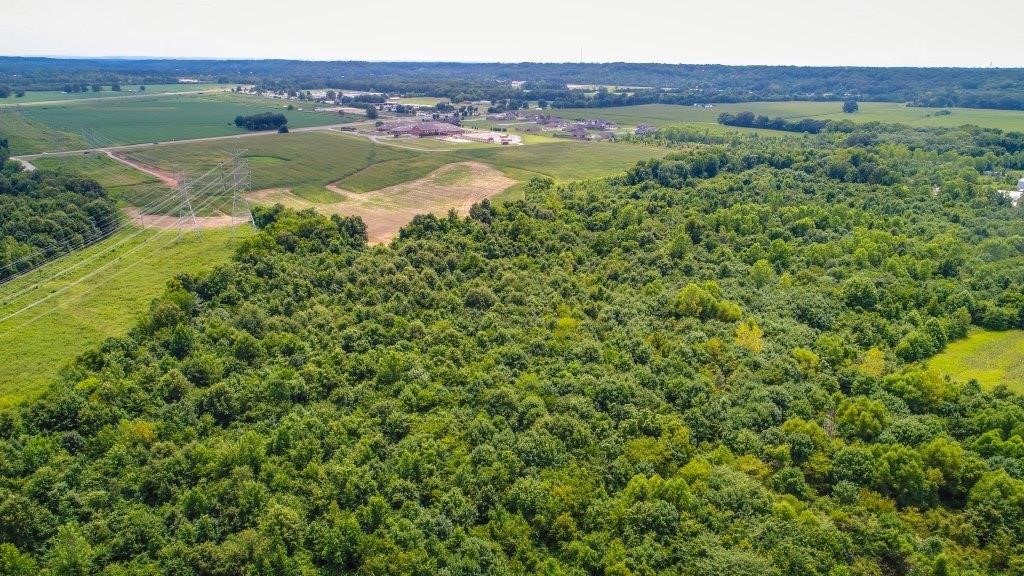 Trinity AL - Land Auction 141+/- Ac (3 Tax Parcels) Offered