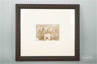 Framed Photo of Poodles