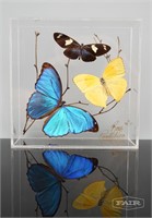 Butterflies in Lucite Block, Signed