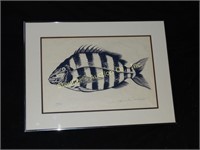 Signed & numbered fish picture 93/500