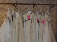 12 + 1 wedding dresses