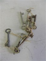 Selection of Skeleton Keys