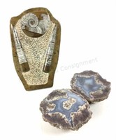 Ammonite & Orthoceras Fossil Slab & Geode