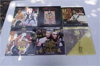 Bruce Lee & Chinese Martial Arts Laserdiscs