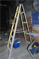 10ft alum ladder