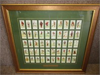 FRAMED COPES GOLF TOBACCO CARDS FROM 1900'S