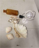 Shells, Vintage Bottle & Fan