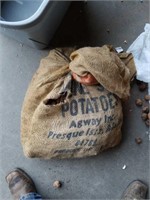 Bag of Black Walnuts