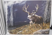 Deer Canvas Art