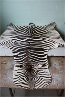 Burchell's Zebra Skin Length 89"