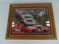 Dale Earnhardt Jr Picture in Oak Frame - 14" x