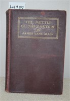 "The Mettle of the Pasture" by James Lane Allen,