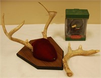 Mounted Deer Antler Trophy, Duck Key Rack