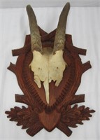 Animal Skull Mounted On Wood Wall Plaque