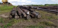 25 + or - 25ft Tamarack Poles, varying thickness