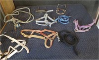 Horse bridles and lead ropes