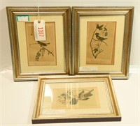 Lot 1307 - 3 Engraving depicting birds: