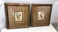 Pair of framed tropical Bird Prints