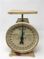 Vintage Hanson Nursery Scale