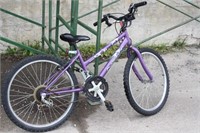 Next Bicycle 24" Tires