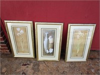 (3) Floral prints in frames