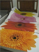 4 Vinyl Flower Pictures/displays 4' x 22 1/2”