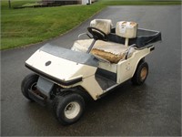 MELEX Gas Powered Golf Cart 9 HP Rides & Drives