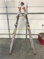 Little giant multi-position ladder