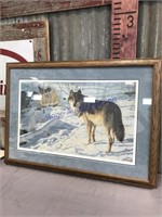 Lone Wolf framed print by James Hautman