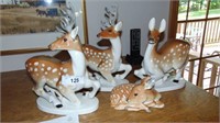 Lomonosov Deer Collection