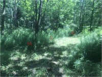 24+/- acres of vacant land