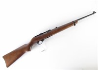 Ruger 10/22 Carbine, .22WinMag
