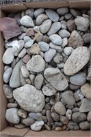 Box O' Rocks - many Pestosky Stones, Fossils,