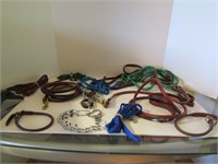Misc Lot-Dog Collars, Leashes, & Container