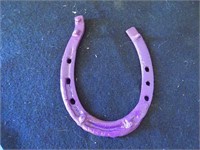 Purple Pony Shoe