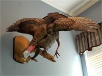 Awesome Flying Tom Turkey Mount