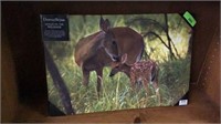 Deer Canvas Print