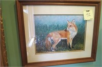 FRAMED MATTED FOX PRINT BY JUDSON WILLIAM 1985 302