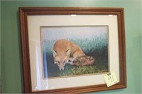 FRAMED AND MATTED FOX PRINT BY JUDSON WILLIAM 1985