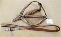 Aibaopet Brown Leash and Harness Set