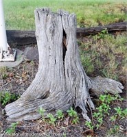 Decorative Driftwood Stump Decor / Yard Art