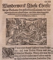 Miracula… Jhesu Christi, 1565