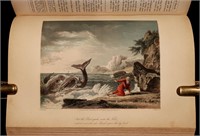 [Bible, Illustration]