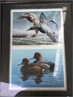 1982-83 Bird Stamp Framed